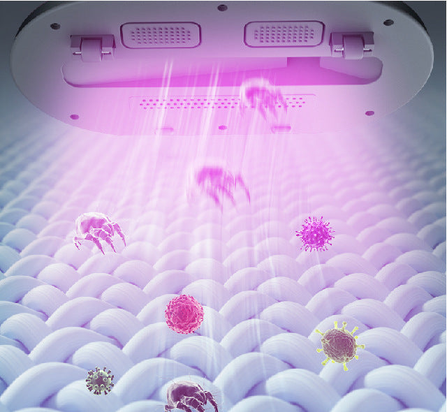 Clean Deeper: UV Mite Remover for Beds & Sofas