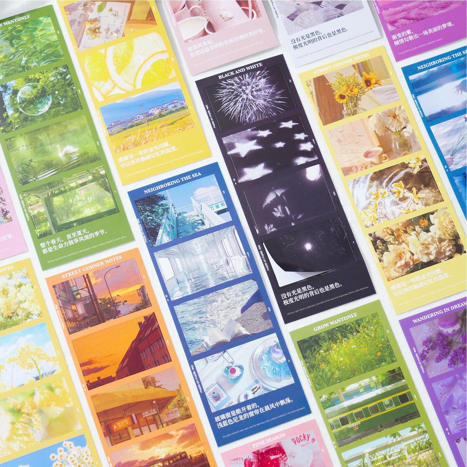 Scenic Literary Journal for Inspired Daily Reflections